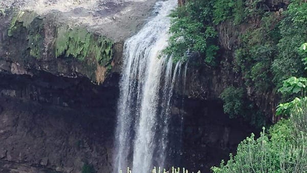 कई बार हो चुके हैं दर्दनाक हादसे 