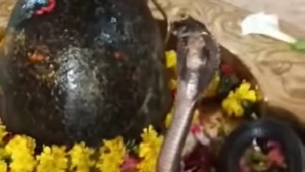सालों से कायम है यह परंपरा 