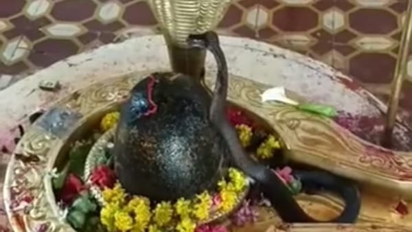 भक्तिभाव के साथ मनाया जा रहा पर्व 