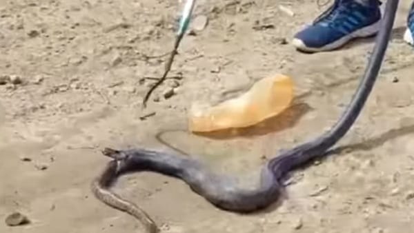 ग्रामीणों ने देखा अजीब घटनाक्रम 