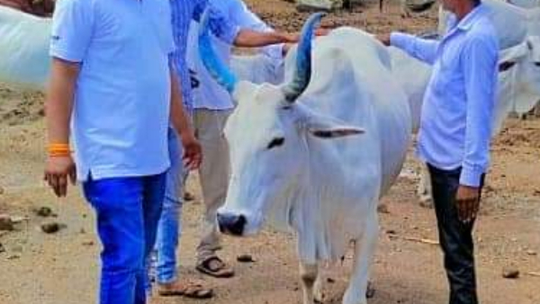 जानें लंपी वायरस के बारे में 
