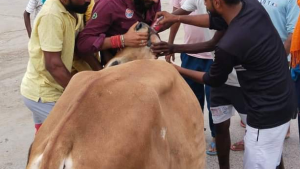 सुरक्षा और बचाव के उपाय