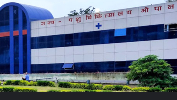 प्रोफेसर ने दी जानकारी