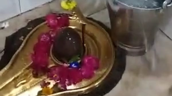 सोशल मीडिया पर वीडियो वायरल 