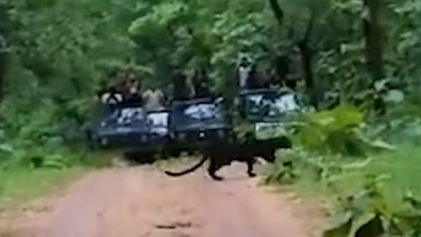 कुछ इस तरह दिखा शानदार नजारा कुछ इस तरह दिखा शानदार नजारा