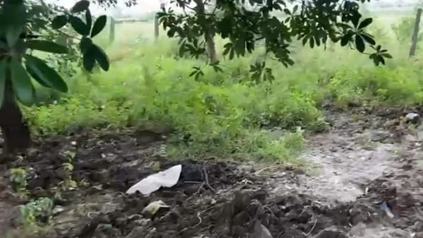सरकारी जमीन को बताया अपने कब्जे की जमीन