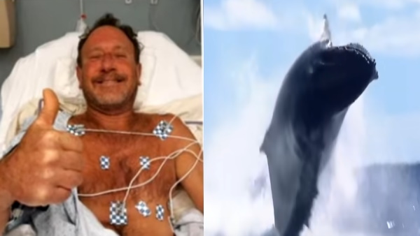 शार्क के मुंह से जिंदा निकलने वाला जानें कौन है ये शख्‍स 