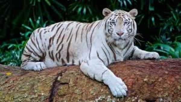 किशन की मौत से मैत्री बाग में पसरा सन्नाटा