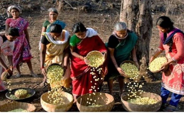 58 वन समिति के साथ ग्रामीणों को ट्रेनिंग 