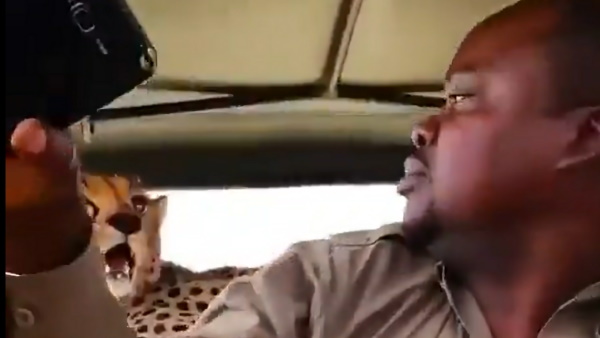 मोबाइल निकाल खींचने लगा सेल्फी मोबाइल निकाल खींचने लगा सेल्फी