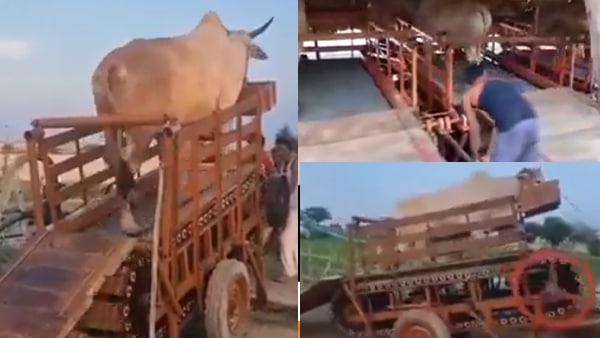 नेटिजन्स ने जताई नाराजगी