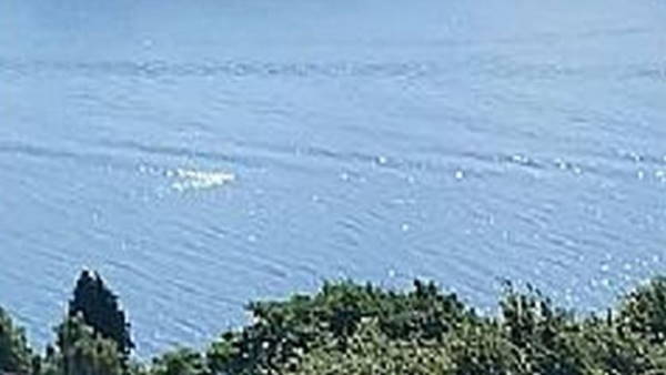 क्या है इस समुद्री दैत्य का सच