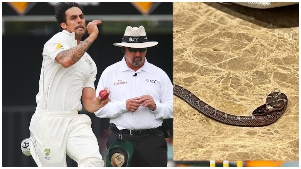 Mitchell Johnson Mitchell Johnson