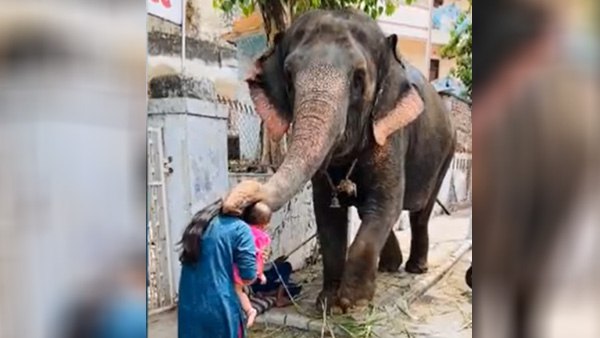 इंटरनेट पर वीडियो वायरल इंटरनेट पर वीडियो वायरल