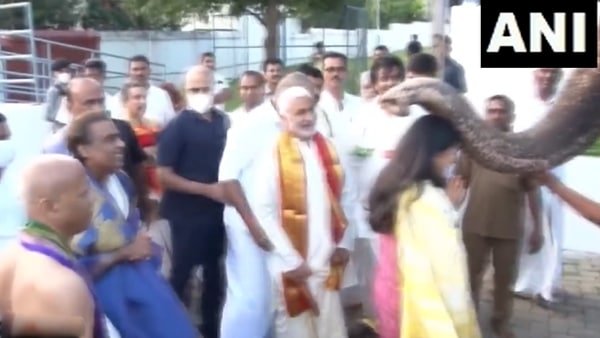 पूजा के लिए हाथी को पाला जाता है