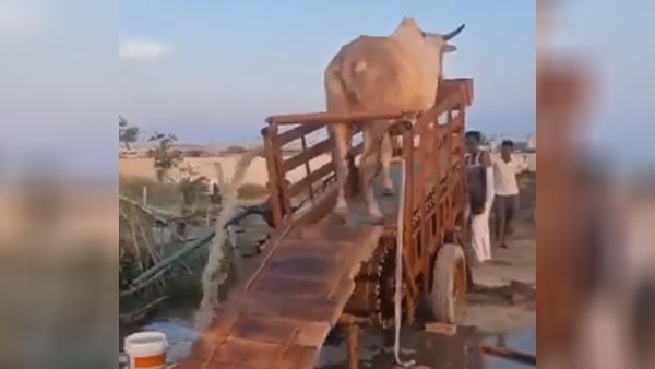 जुगाड़ से आसानी से पहुंचाया जा रहा पानी