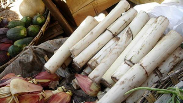 तांत्रिक विद्या पर परिजनों को भरोसा