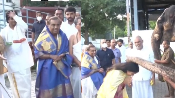 हाथी ने दिया आशीर्वाद