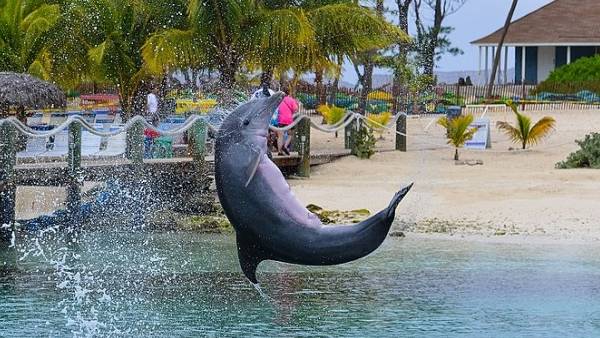 153 प्रजातियों के जलीय जीव का करें दीदार