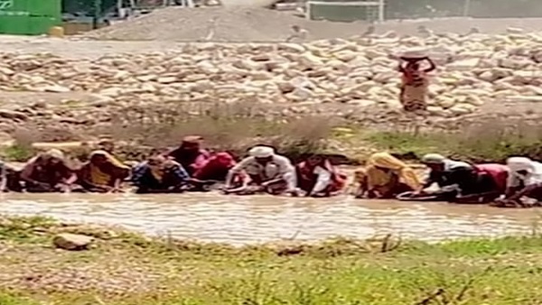 हीरों की आस में लोग परिवार सहित मिट्टी खोद रहे हीरों की आस में लोग परिवार सहित मिट्टी खोद रहे