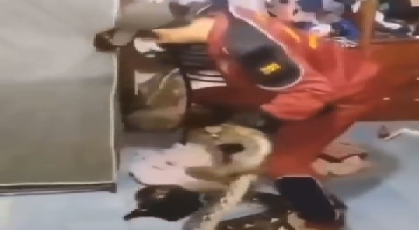 अब तक 2 लाख से ज्यादा बार देखा जा चुका है वीडियो