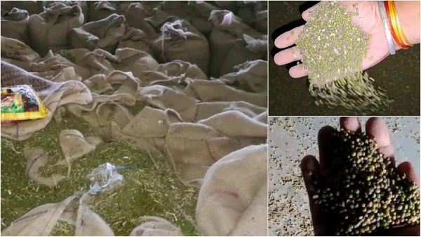 चांदपुर मूंग खरीदी केंद्र को जिला प्रशासन ने ब्लैक लिस्टेड कर दिया 