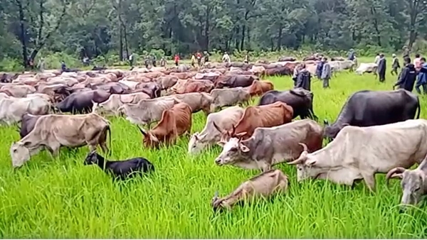 2019 में खारिज कर दिया था पट्टे का दावा