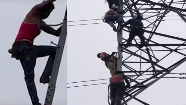 इंसुलेटर पर बैठने से बची जान