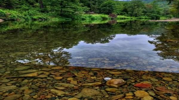 'व्हाइट डायमंड' 6 सितंबर को रिकॉर्ड में दर्ज