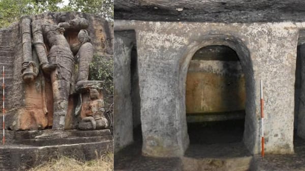 बाधवगढ़ का टाइगर रिजर्व 1100 एसक्यू मीटर एरिया में फैला 