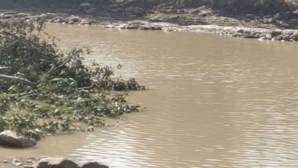 पन्ना में बाघिन, रुंझ नदी की तलहटी हीरों के लिए पहचानी जाती हैं पन्ना में बाघिन, रुंझ नदी की तलहटी हीरों के लिए पहचानी जाती हैं