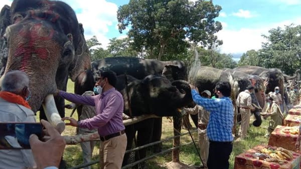 2018 से हाथियों का झुंड बनाया बसेरा