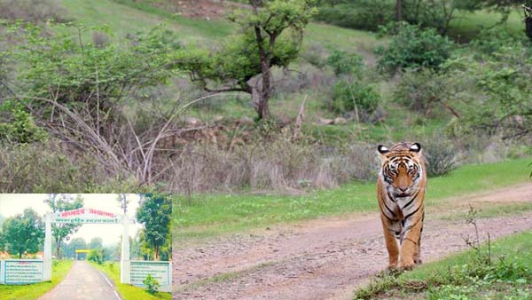 भोरमदेव वन्य जीव अभयारण्य