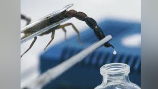 आर्थराइटिस के दर्द को कम करने में मिलती है मदद