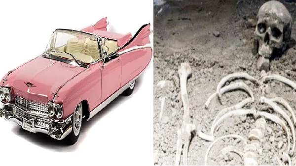 DNA परीक्षण से हुआ खुलासा