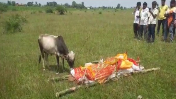 बेटा मानकर करवाया अंतिम संस्कार बेटा मानकर करवाया अंतिम संस्कार