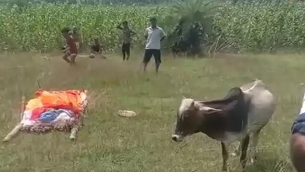 इंसान और जानवर का अटूट प्रेम इंसान और जानवर का अटूट प्रेम