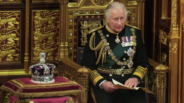 राज-हंस, डॉल्फिन और स्टर्जन राज-हंस, डॉल्फिन और स्टर्जन