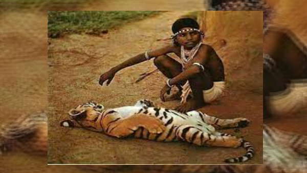 टोकरी में घर आया था टाइगर दोस्त टोकरी में घर आया था टाइगर दोस्त