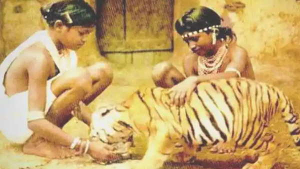 एक तस्वीर के लिए दुनियभर से बस्तर पहुंचते थे लोग एक तस्वीर के लिए दुनियभर से बस्तर पहुंचते थे लोग