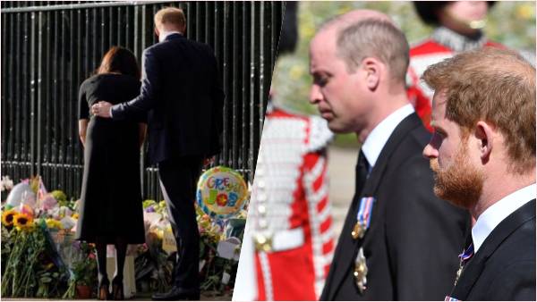 राजशाही का त्याग कर अमेरिका चले गए हैरी