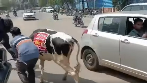 लंपी चर्म रोग को राष्ट्रीय आपदा घोषित करें