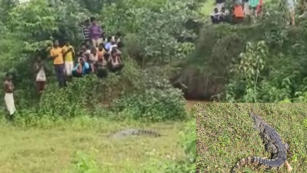 जरूरी उपकरण के साथ पहुंची थी टीम