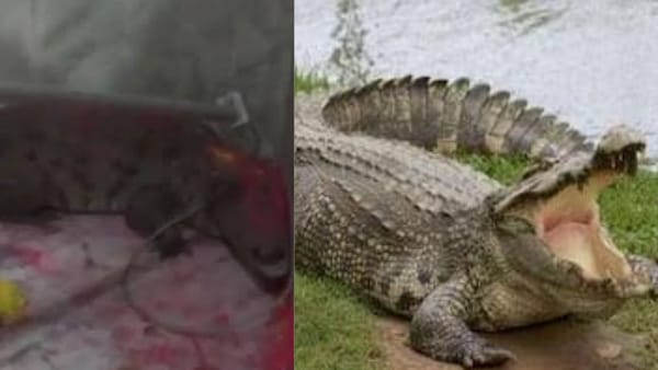 साक्षात लक्ष्मी का स्वरूप मानकर महिलाओं ने की पूजा पाठ