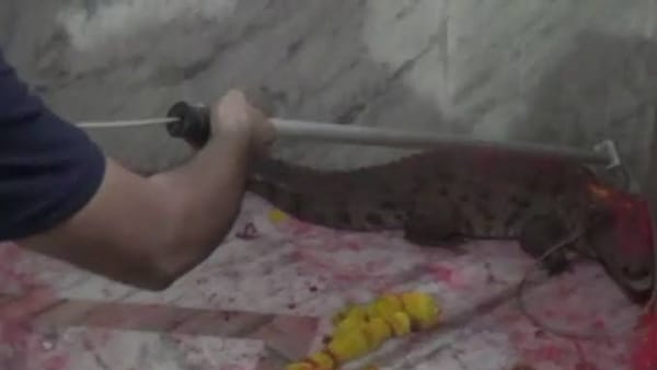 ग्रामीणों ने दी जानकारी