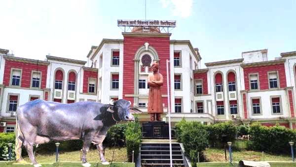 यूनिवर्सिटी कैम्पस में भैसों की एंट्री