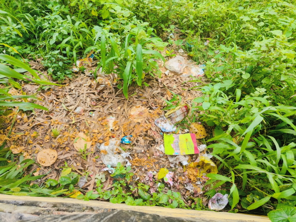 राजकीय उच्च प्राथमिक विद्यालय भारोड़ी