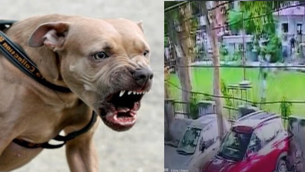 घायलों का अस्पताल में चल रहा इलाज घायलों का अस्पताल में चल रहा इलाज