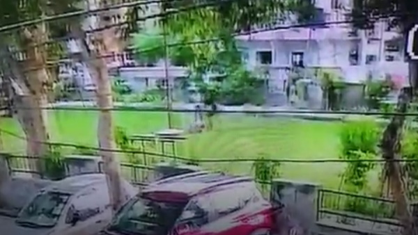 कुत्ते को बिना लाइसेंस के पाल रखा था 