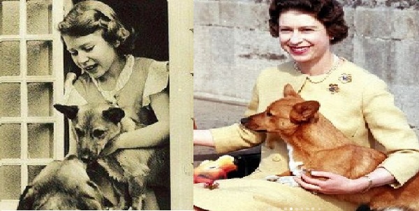 कॉर्गिस की थीं शौकीन